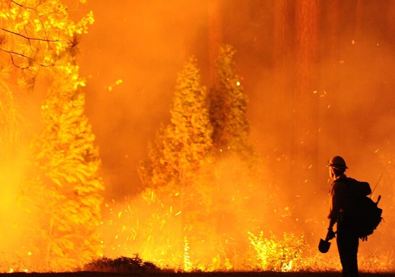 В Калифорнии эвакуируют более 119 тысяч человек из-за лесных пожаров